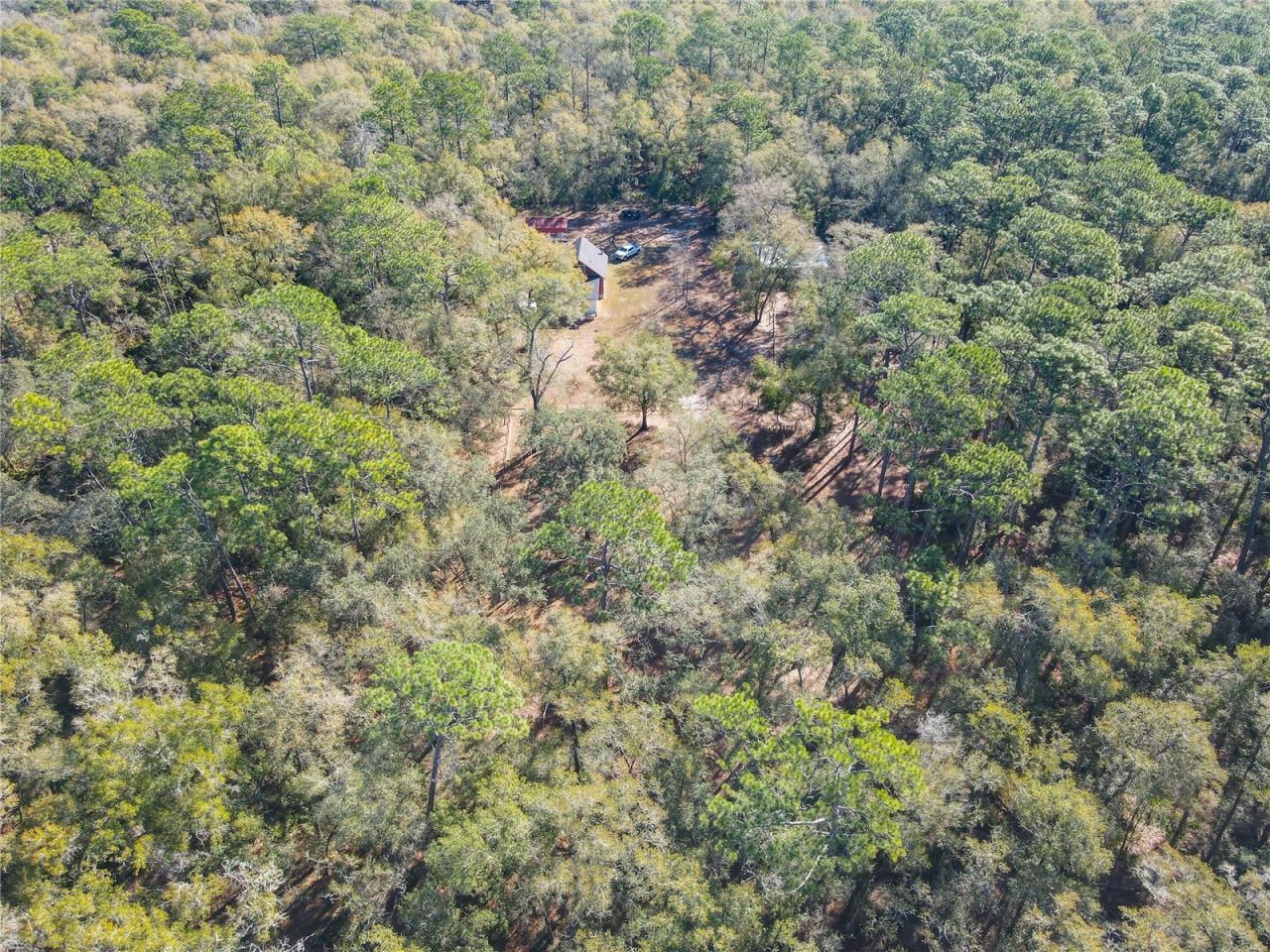 19534 Fox Den Lane , Altoona, FL 32702 Photo