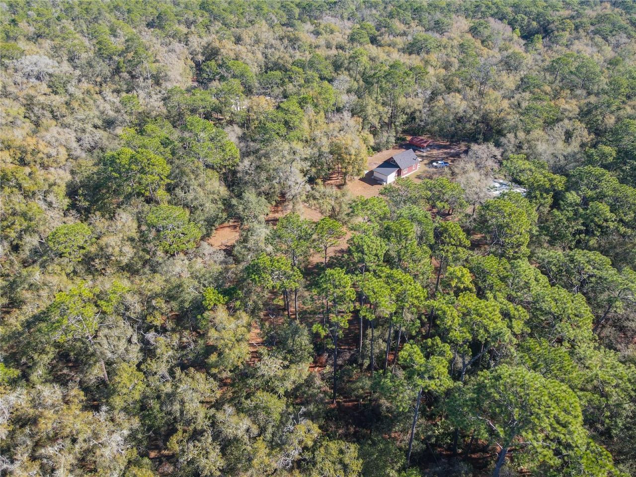 19534 Fox Den Lane , Altoona, FL 32702 Photo