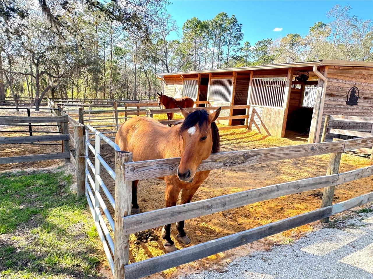 4911 N Valley Terrace, Beverly Hills, FL 34465 Photo