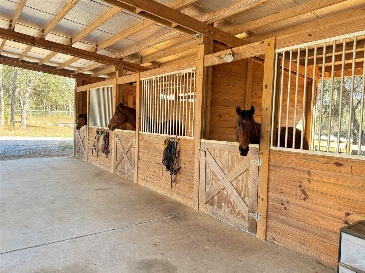 4911 N Valley Terrace, Beverly Hills, FL 34465 Photo