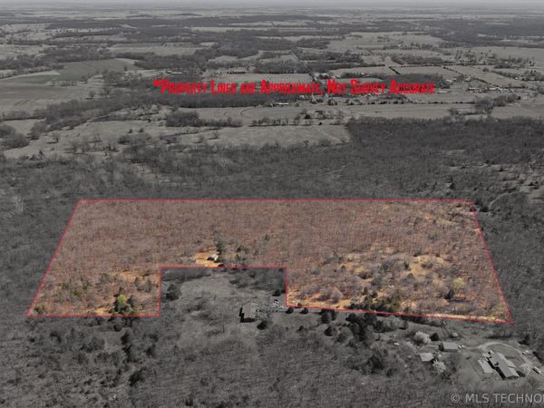 E 390 Road , Chelsea, OK 74016