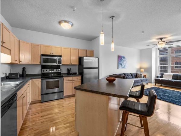 310 E 18th Street, Unit 201, Minneapolis, MN 55404