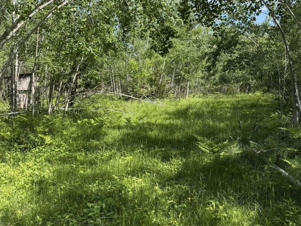 V/L 39.34A N Hubbard Lake, Hubbard Lake, MI 49747