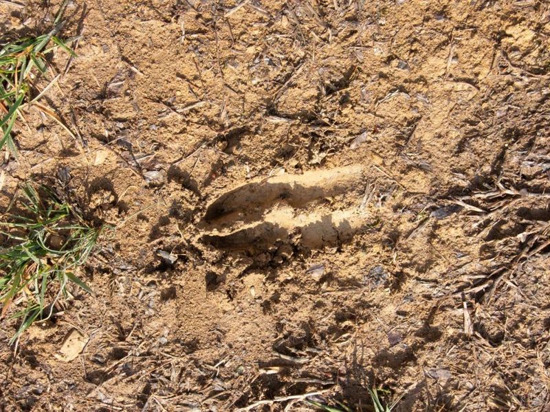 16 Old State Road, Manchester, OH 45144 Photo 15