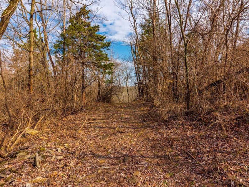 16 Old State Road, Manchester, OH 45144 Photo 18