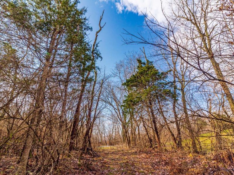 16 Old State Road, Manchester, OH 45144 Photo 19