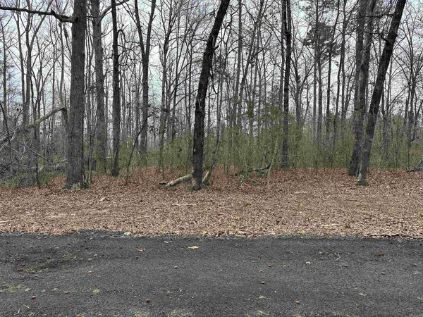 Lot 6 Woodland , Greers Ferry, AR 72067