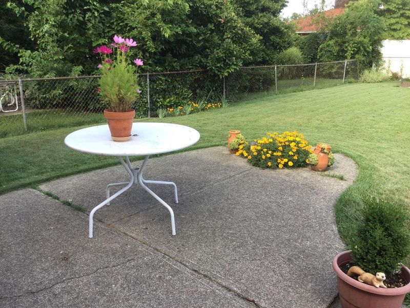 1116 Elaine Road , Columbus, OH 43227 Photo 45