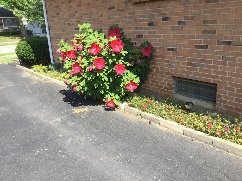 1116 Elaine Road , Columbus, OH 43227 Photo 46