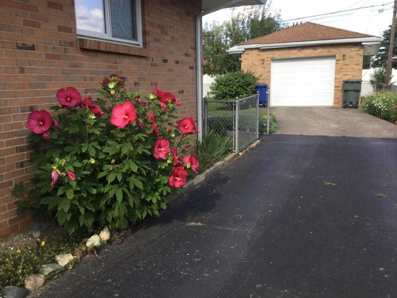 1116 Elaine Road , Columbus, OH 43227 Photo 47