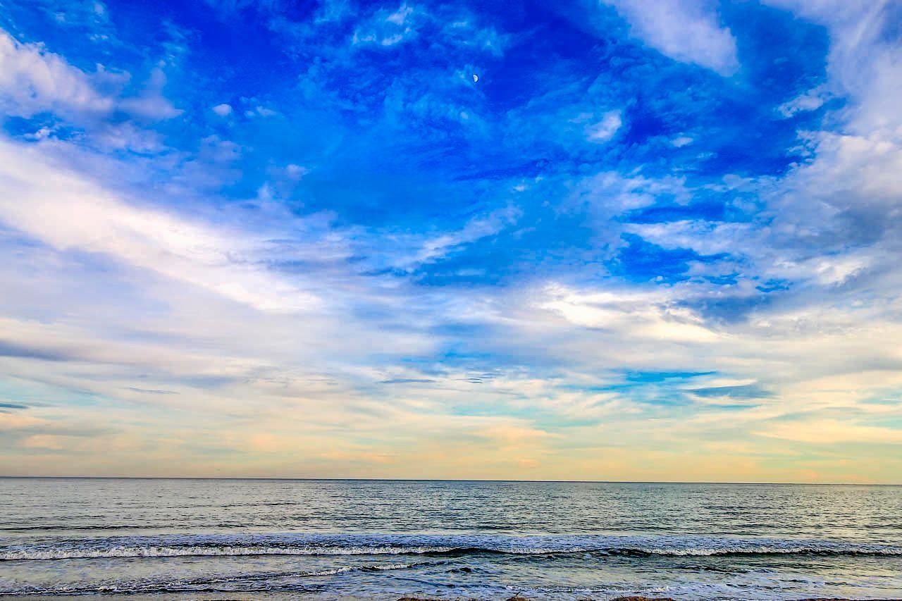 6001- 1080 S Kings Hwy. Photo 40