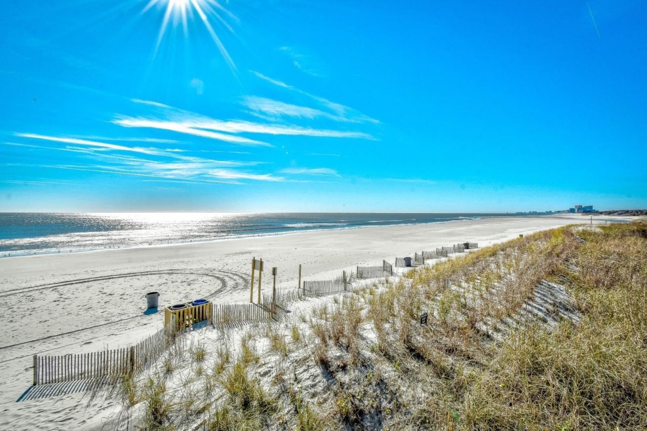 5007 White Iris Dr. Photo 45