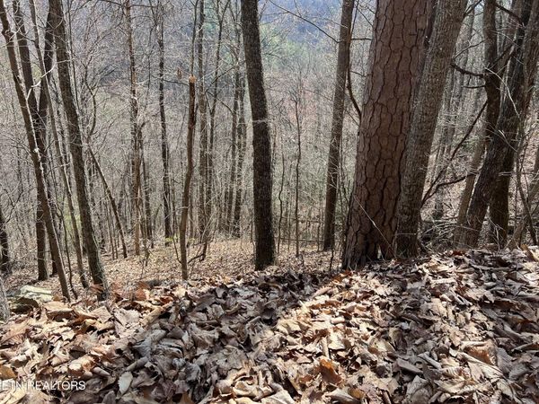 Laurel Lane, Sevierville, TN 37876