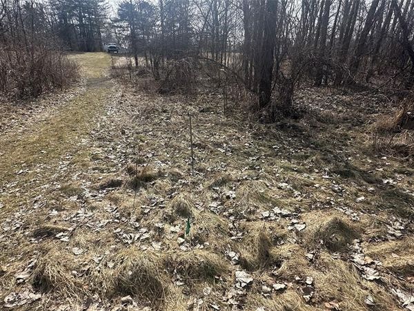 Jordan Lake Avenue , Lake Odessa Vlg, MI 48849