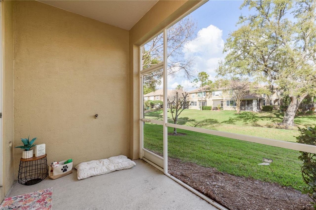 3349 Covered Bridge Dr W, Dunedin, FL 34698 Photo