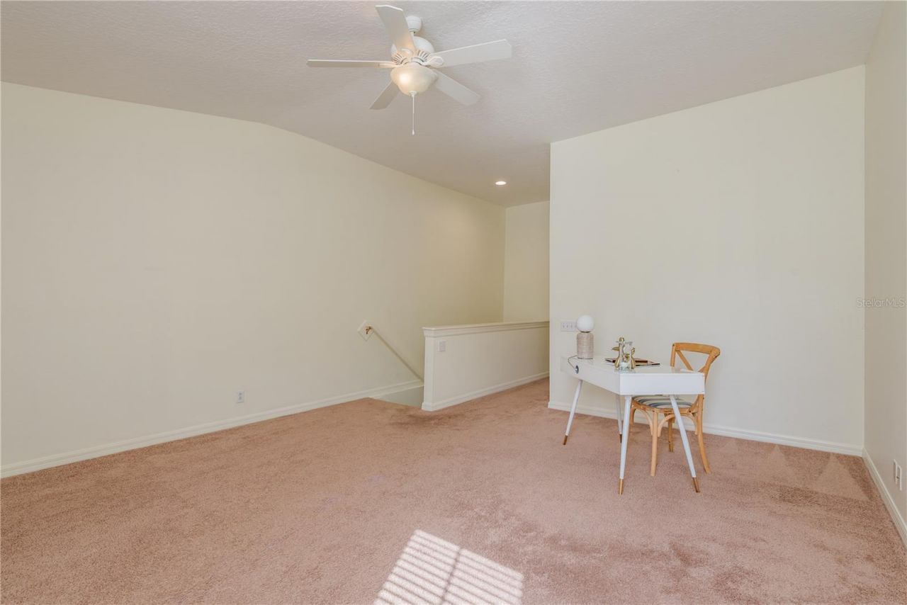 3349 Covered Bridge Dr W, Dunedin, FL 34698 Photo