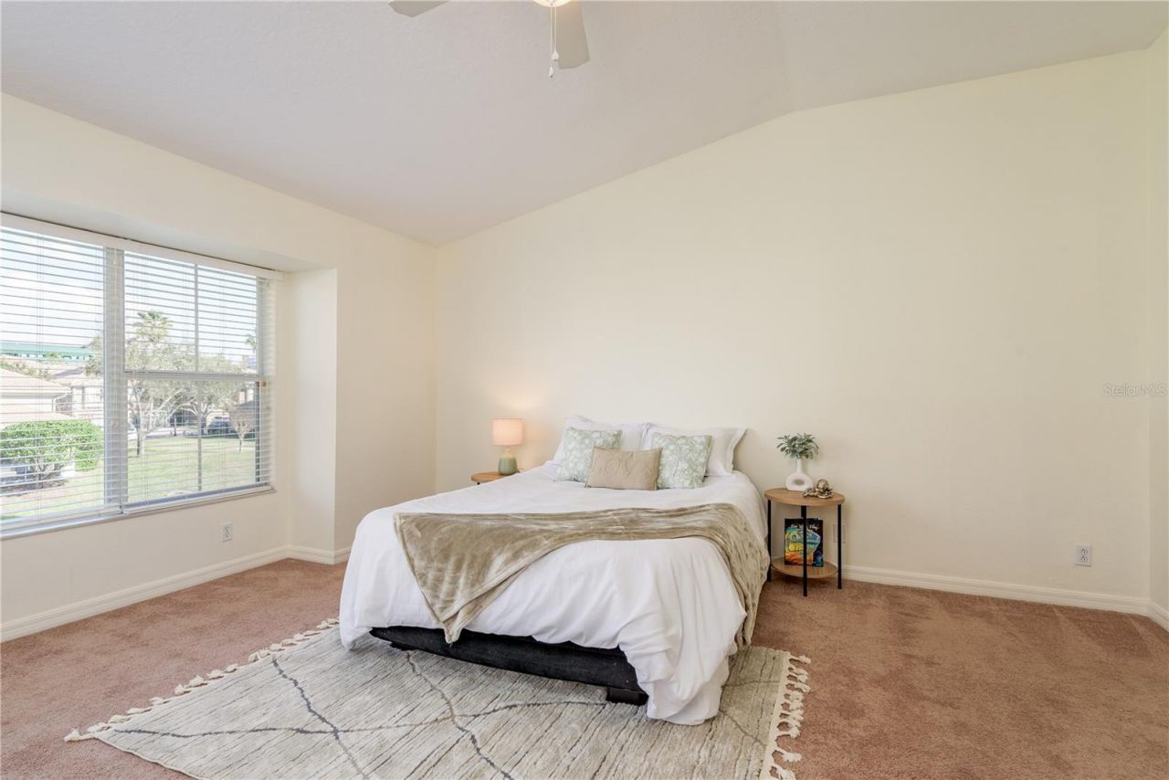 3349 Covered Bridge Dr W, Dunedin, FL 34698 Photo