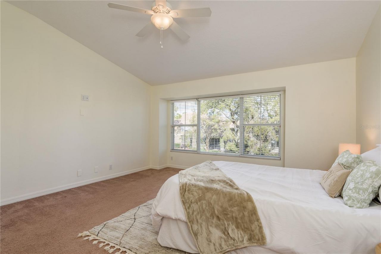 3349 Covered Bridge Dr W, Dunedin, FL 34698 Photo