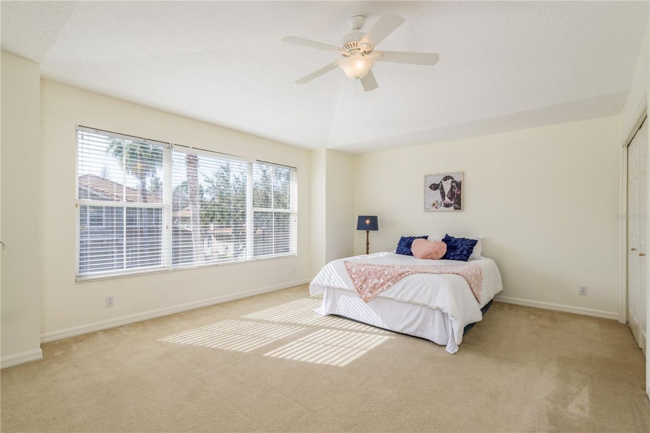 3349 Covered Bridge Dr W, Dunedin, FL 34698 Photo