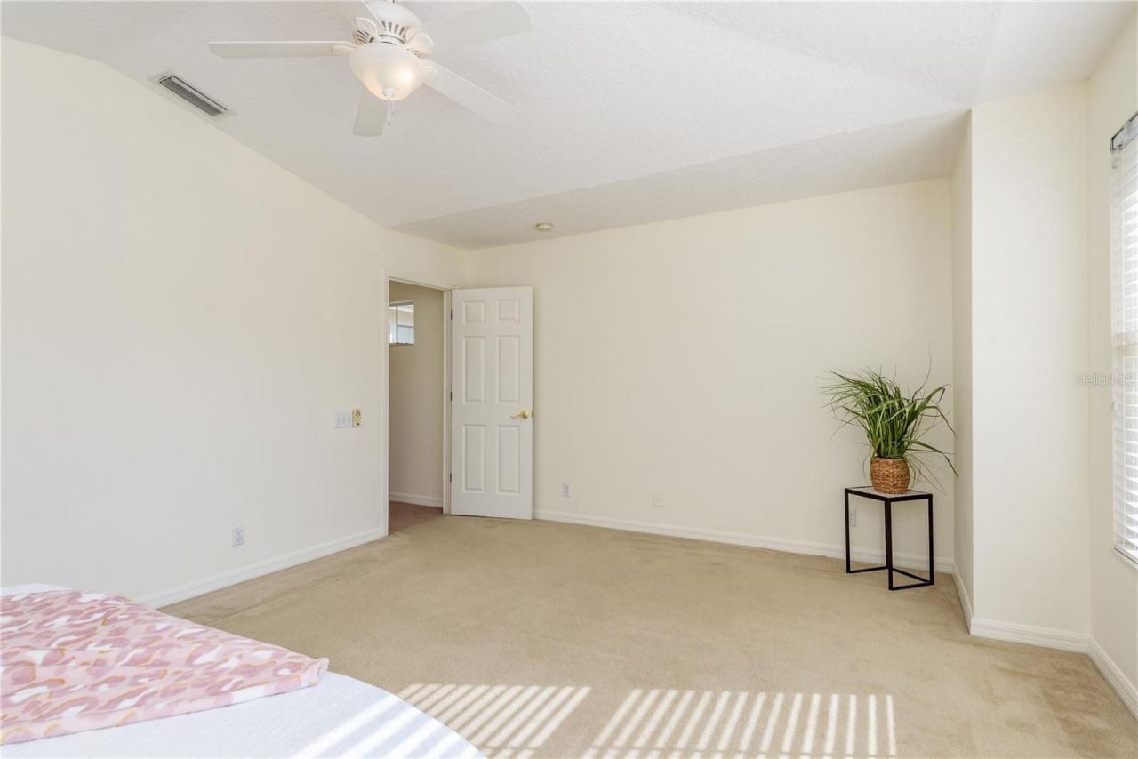 3349 Covered Bridge Dr W, Dunedin, FL 34698 Photo