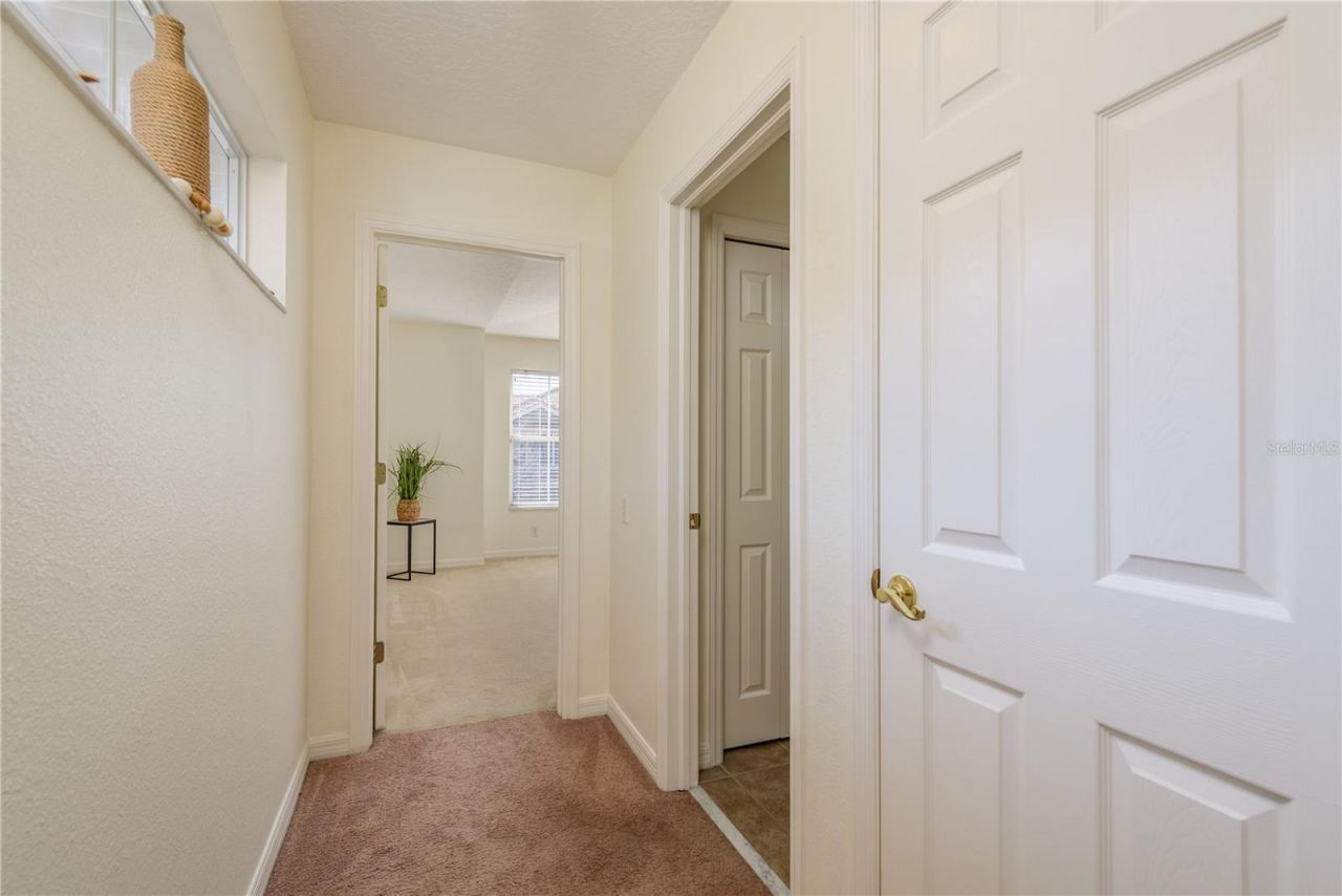 3349 Covered Bridge Dr W, Dunedin, FL 34698 Photo