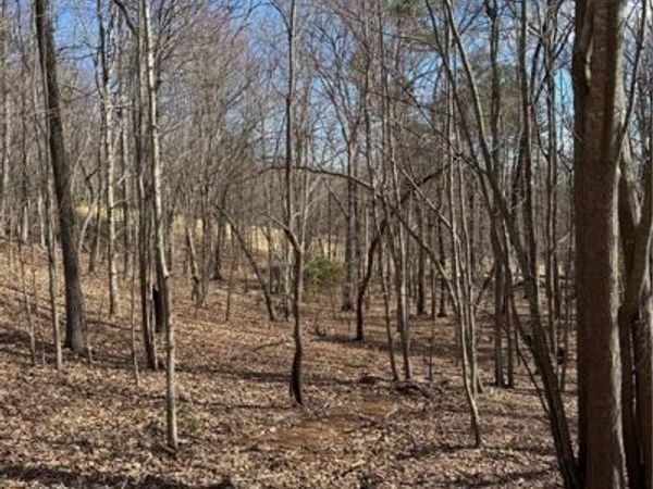 2526 Turnbury Lane , Big Canoe, GA 30143