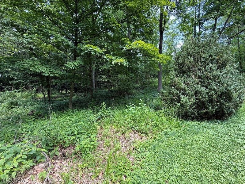 126 Stony Creek Drive, Millersburg, OH 44654 Photo 42