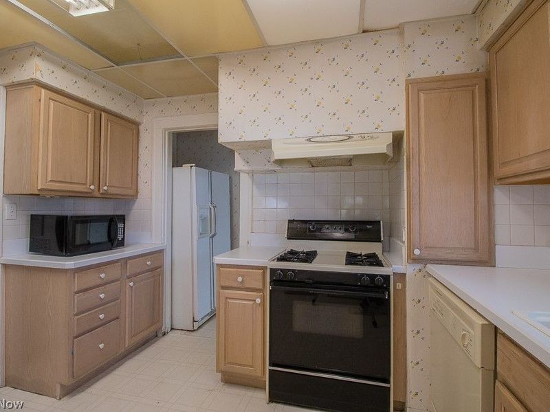 1376 Avondale Road, Cleveland, OH 44121 Photo 9