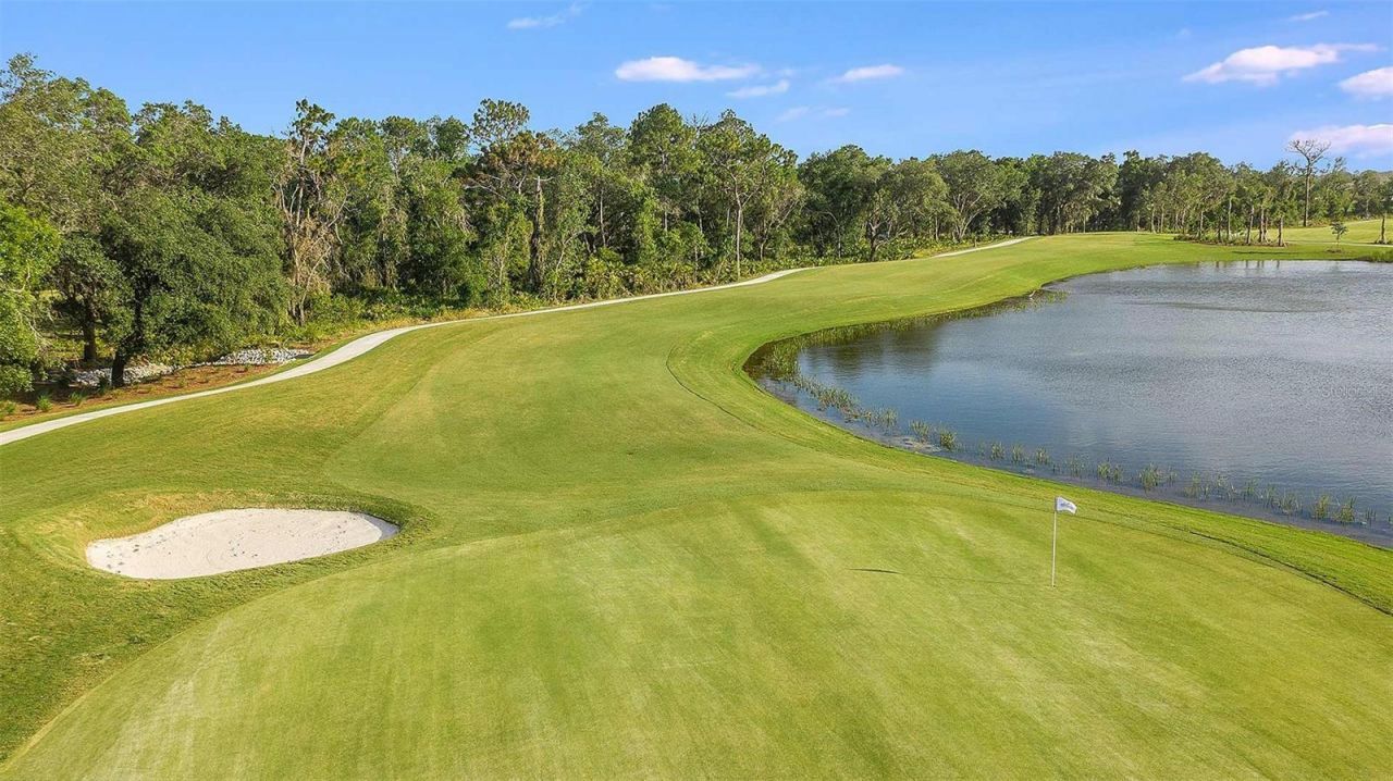 15246 Contenta Loop, Bradenton, FL 34211 Photo