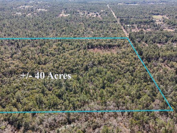 40 Ac Holly Tree Lane, Crestview, FL 32539