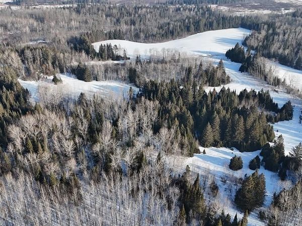 12905 Township Road D , Wawina, MN 55736