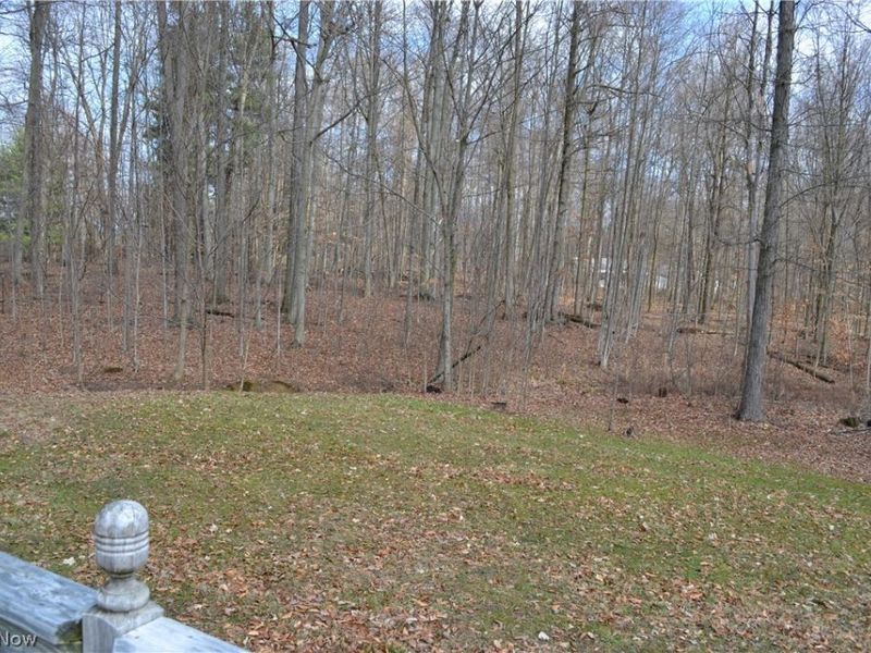 611 County Road 801 , Ashland, OH 44805 Photo 27