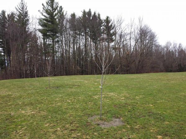 315 North Hill Road, Westfield, VT 05874