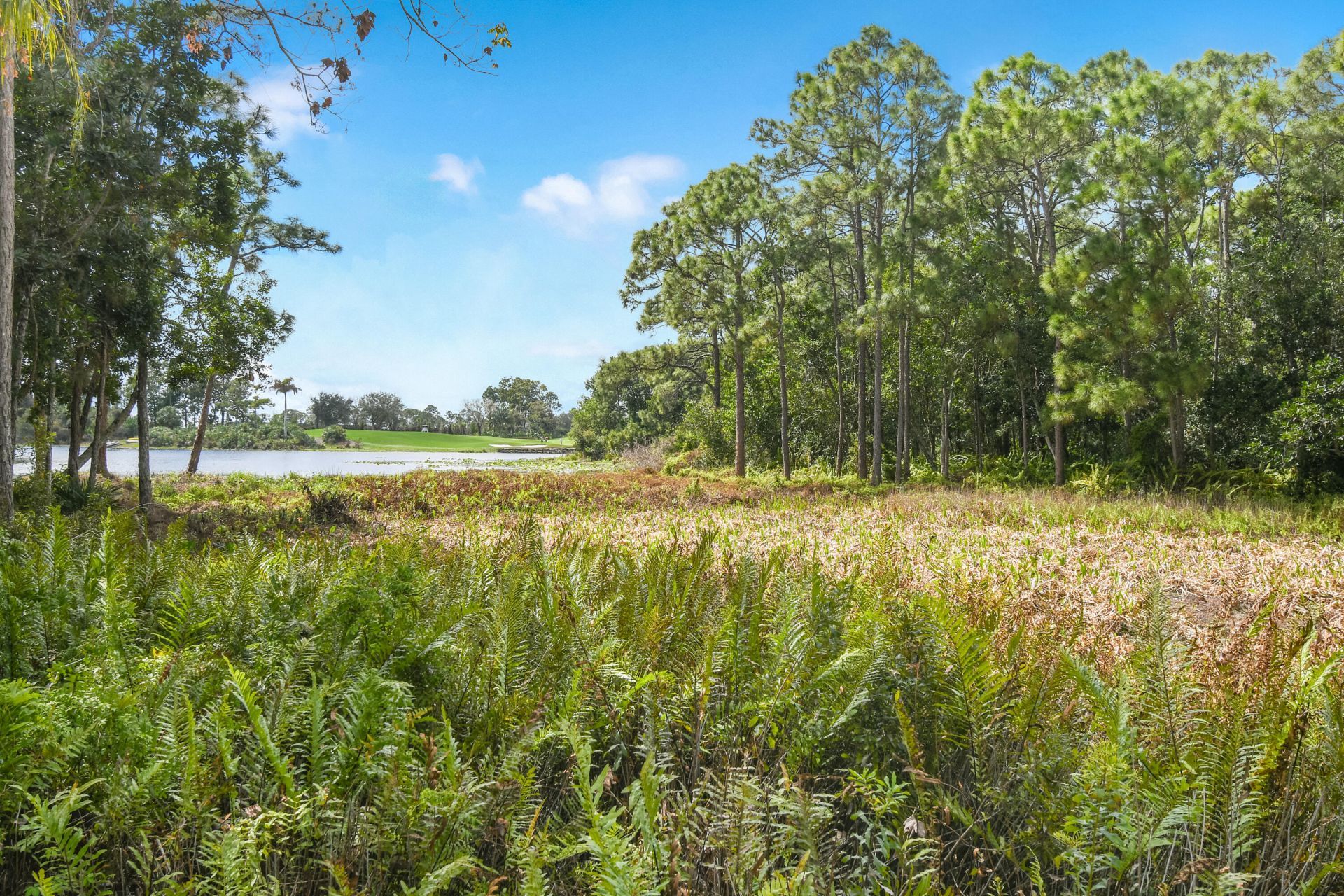 2201 NW Seagrass Drive, Palm City, FL 34990 Photo