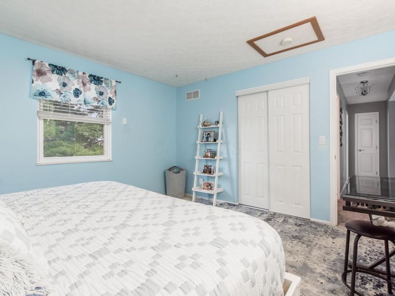 6924 Spruce Pine Drive, Columbus, OH 43235 Photo 11