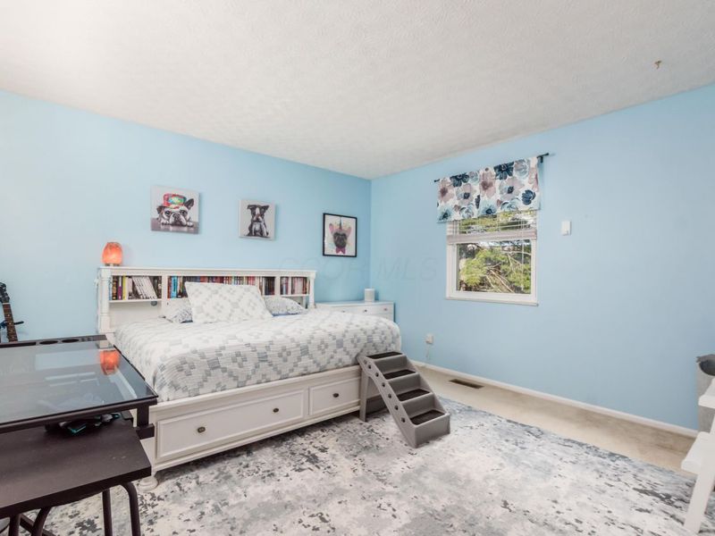 6924 Spruce Pine Drive, Columbus, OH 43235 Photo 13