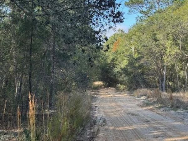 113 GROVE Street, Welaka, FL 32112