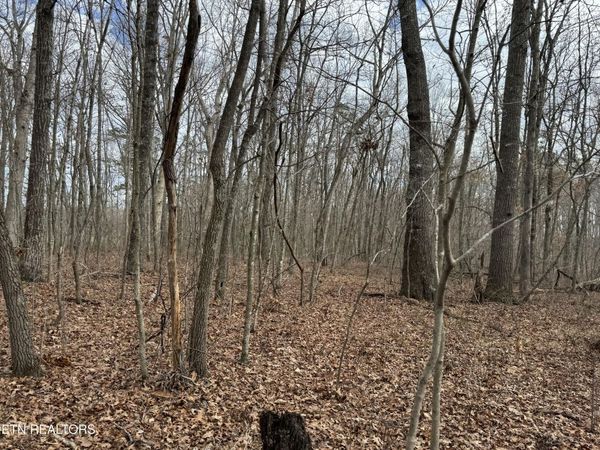 1261 Roanoke Rd, Jamestown, TN 38556