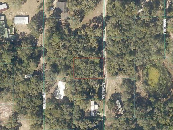 TBD SE 186TH AVENUE , OCKLAWAHA, FL 32179
