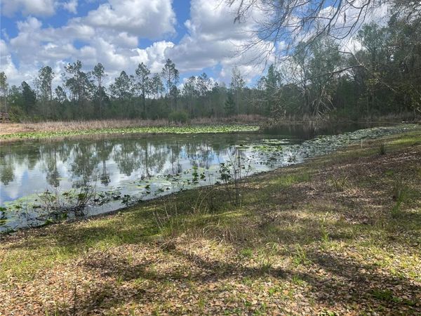 SR 471, WEBSTER, FL 33597