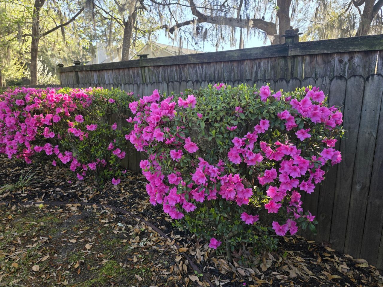 104 Pristine Court Photo 43