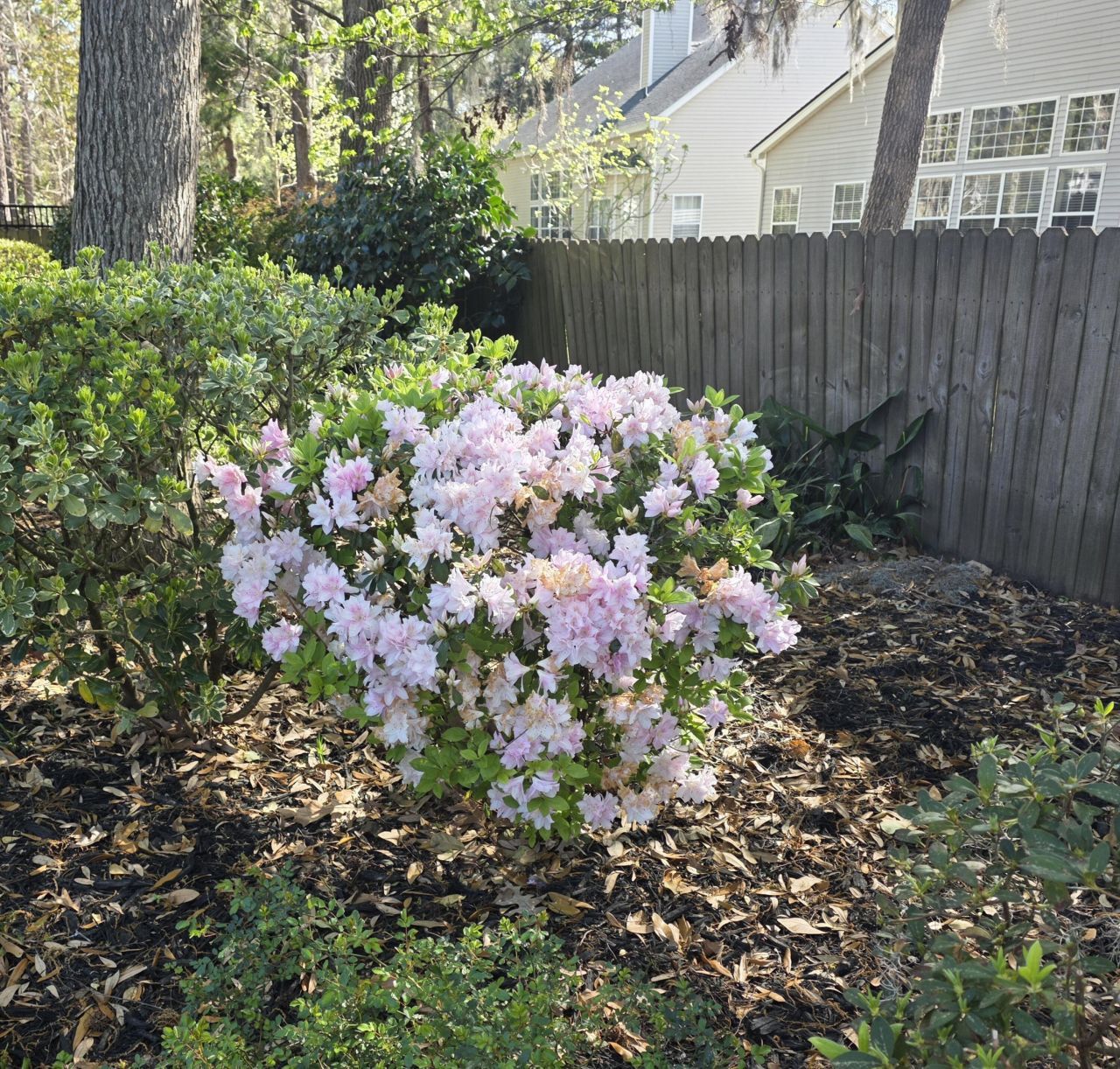 104 Pristine Court Photo 44