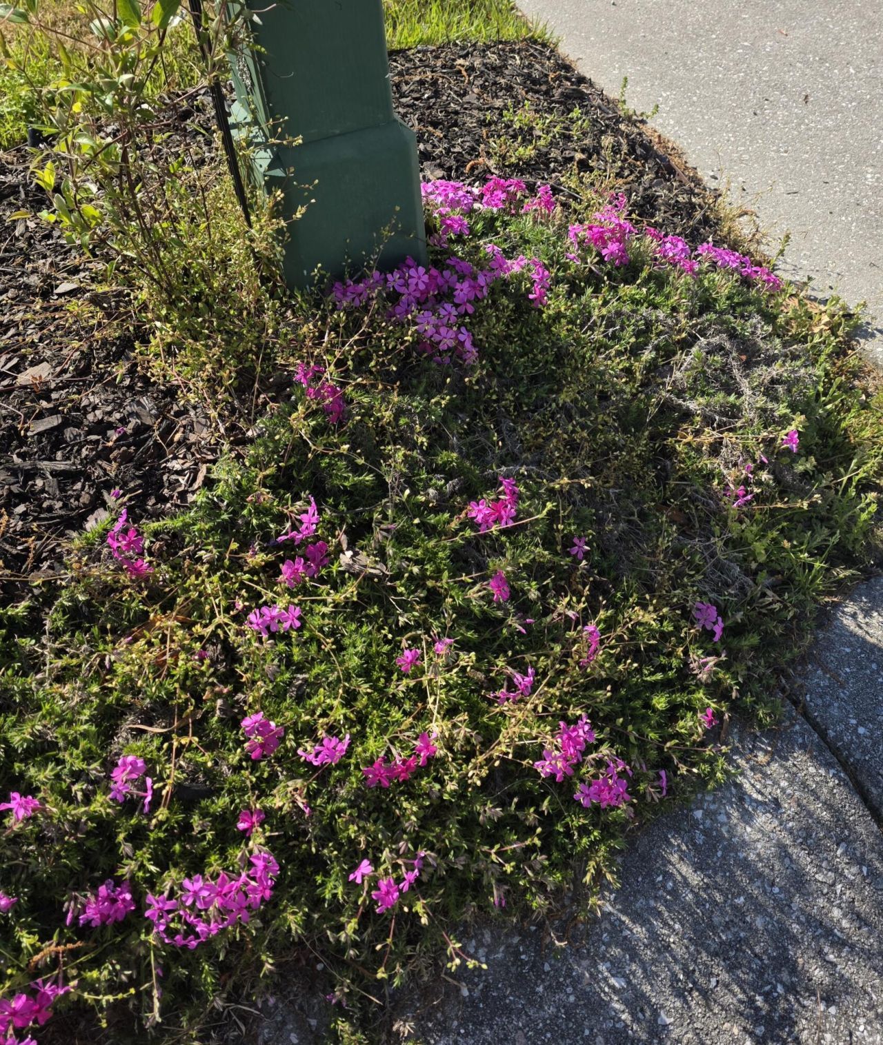 104 Pristine Court Photo 45