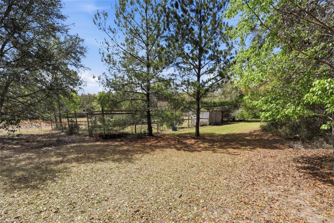 22317 NW 188th Street, High Springs, FL 32643 Photo