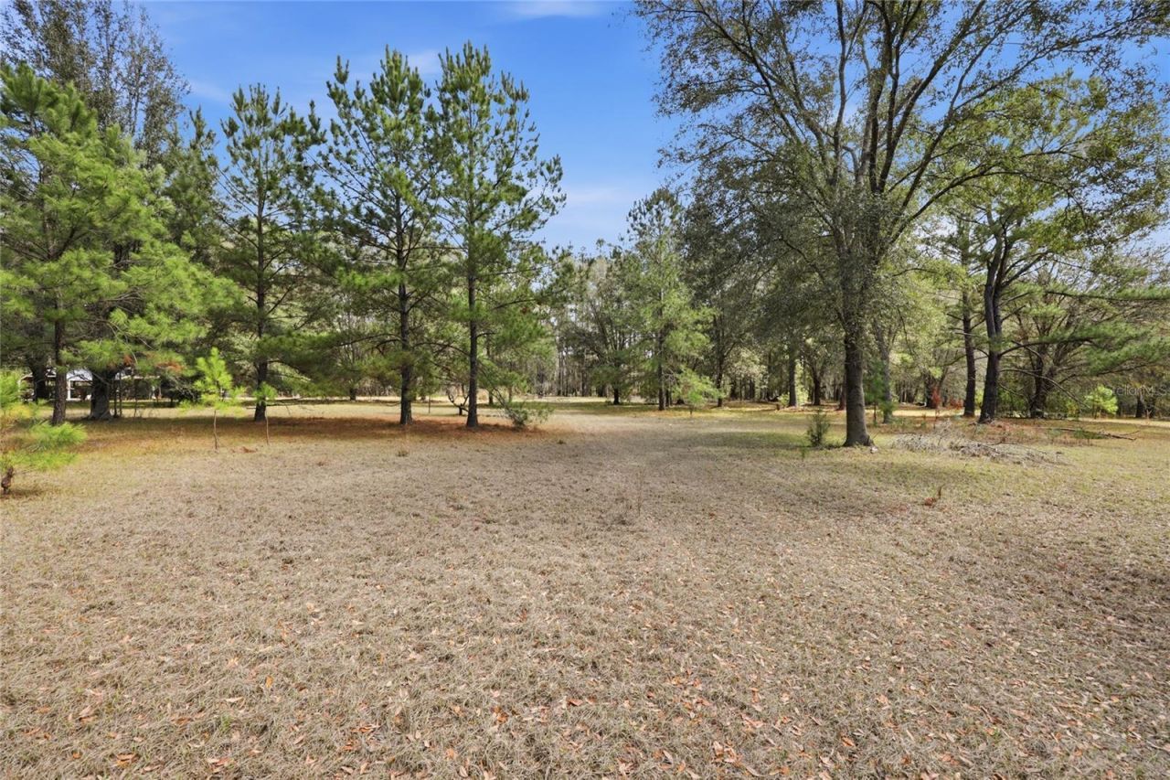 22317 NW 188th Street, High Springs, FL 32643 Photo
