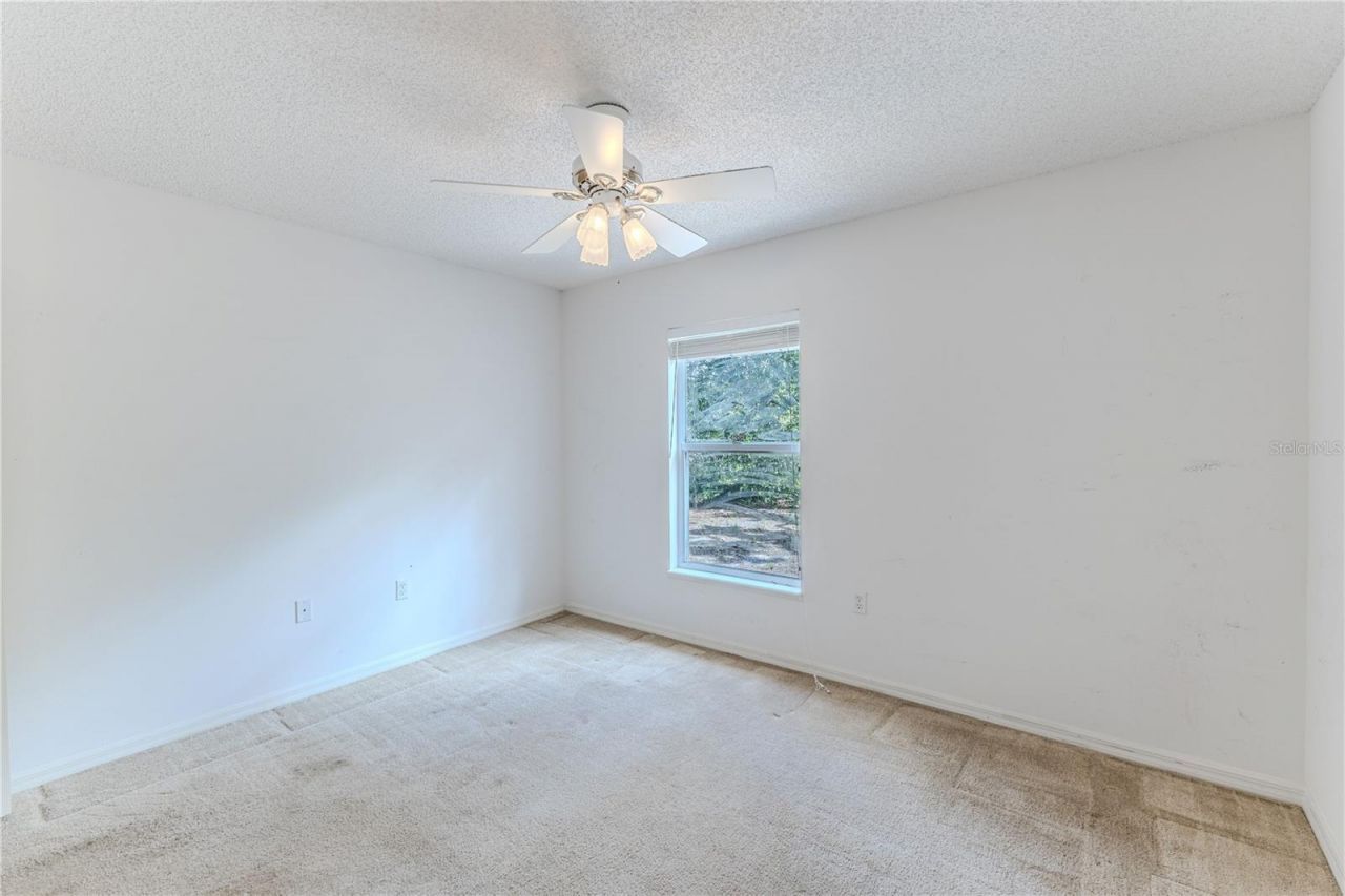 8178 Pinehurst Drive , Spring Hill, FL 34606 Photo