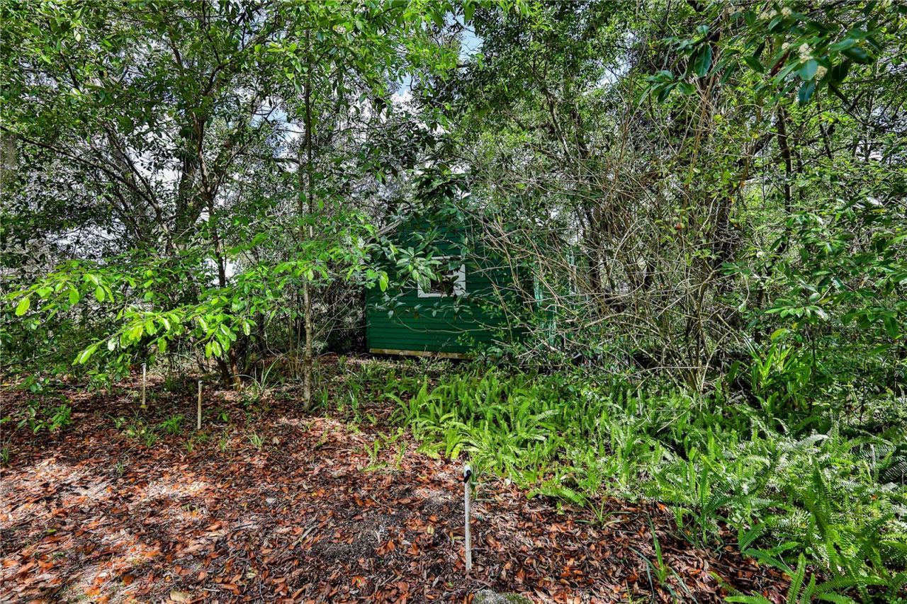 8178 Pinehurst Drive , Spring Hill, FL 34606 Photo