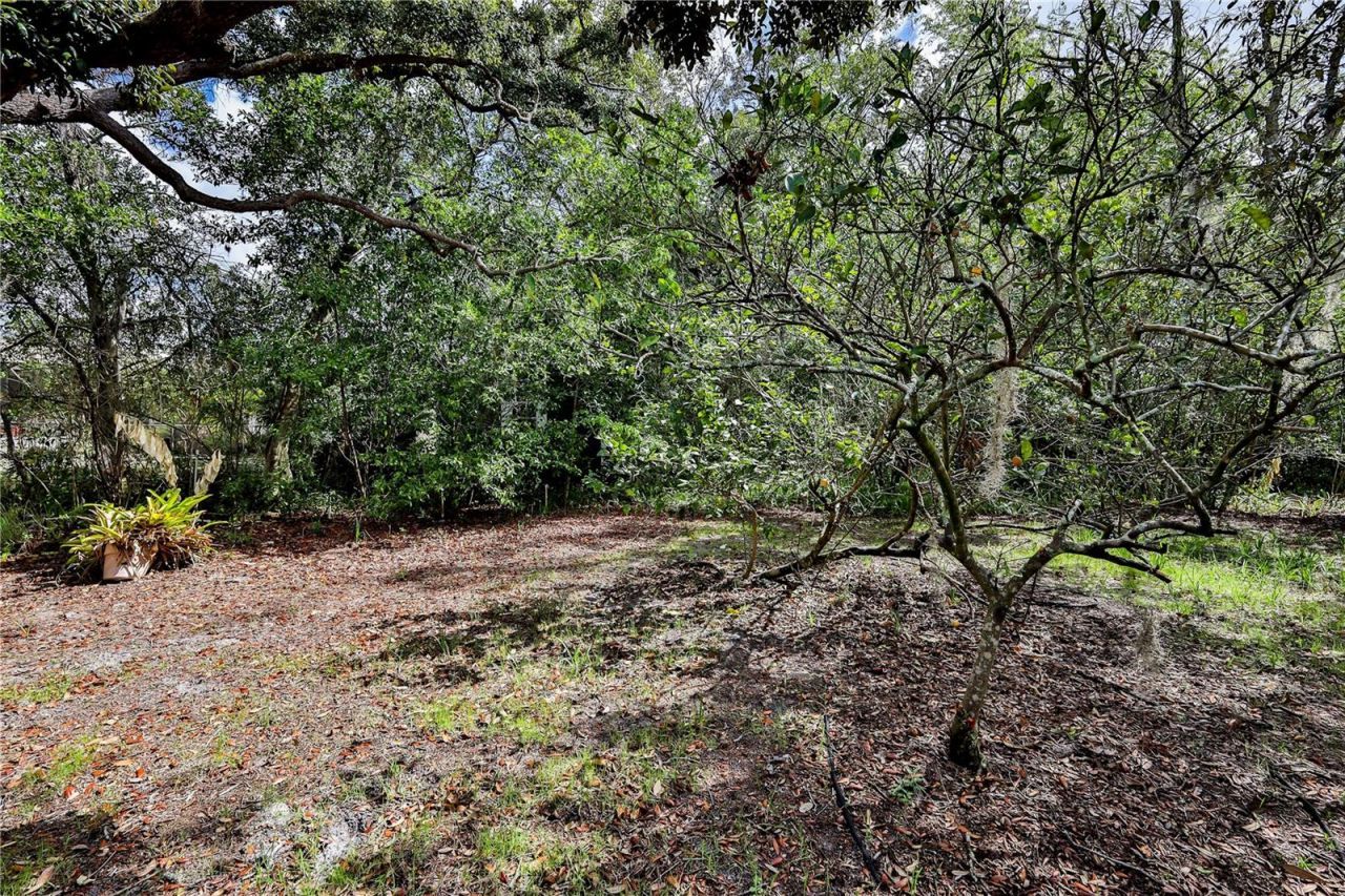 8178 Pinehurst Drive , Spring Hill, FL 34606 Photo