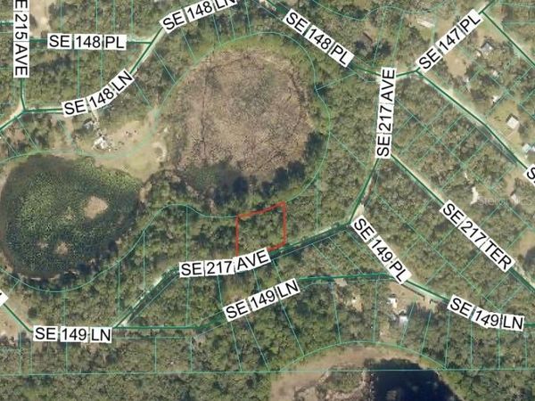 TBD SE 217TH AVENUE , UMATILLA, FL 32784