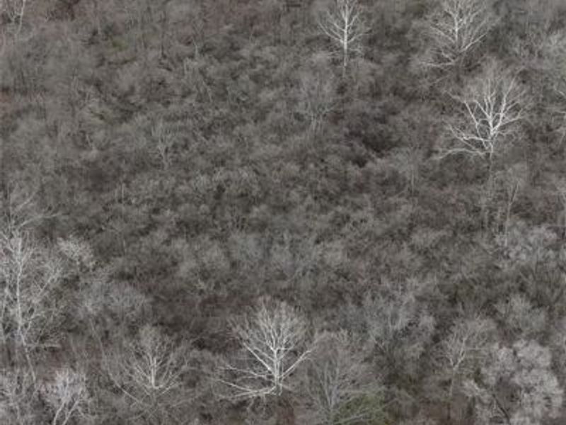 2250 Infirmary Road, Dayton, OH 45417 Photo 10